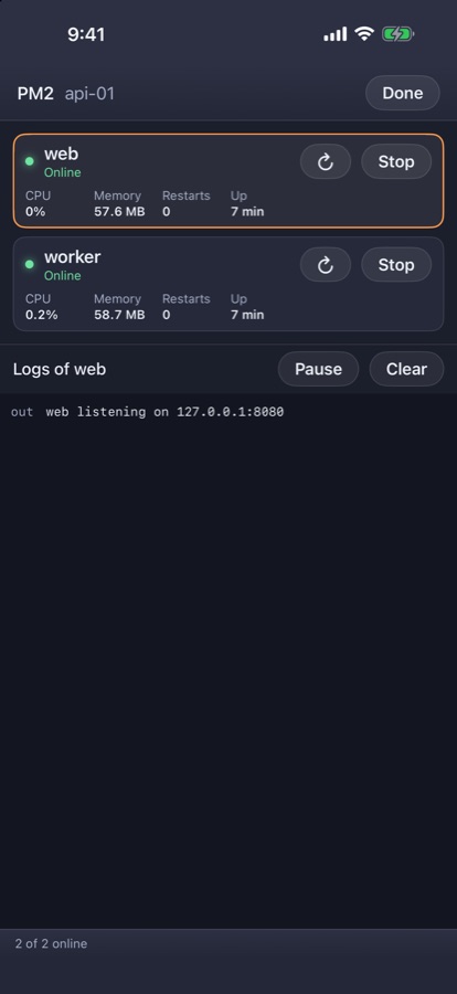 Clayshell on iPhone: PM2 processes and their logs